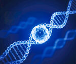 生物科技DNA分子