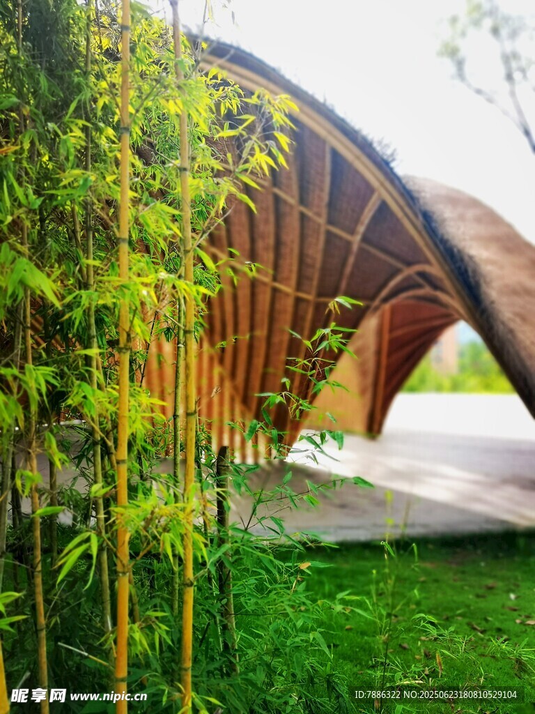 竹林中的弧形木質(zhì)建筑