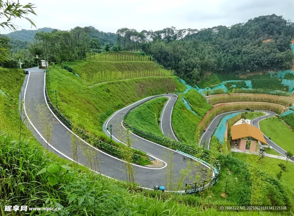 竹子之鄉 山路美景