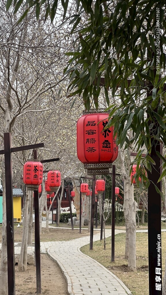 路邊紅燈籠裝點(diǎn)的冬日景象