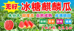麒麟西瓜