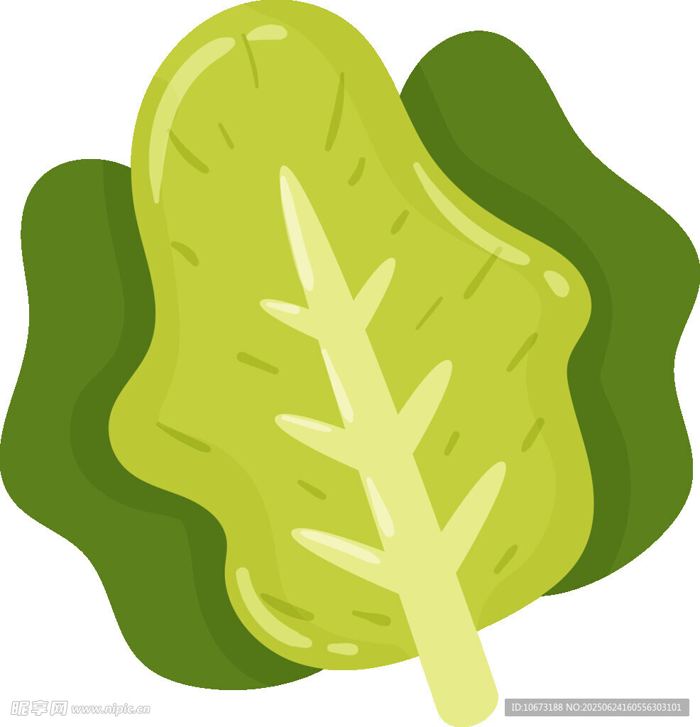 新鮮綠葉蔬菜插畫