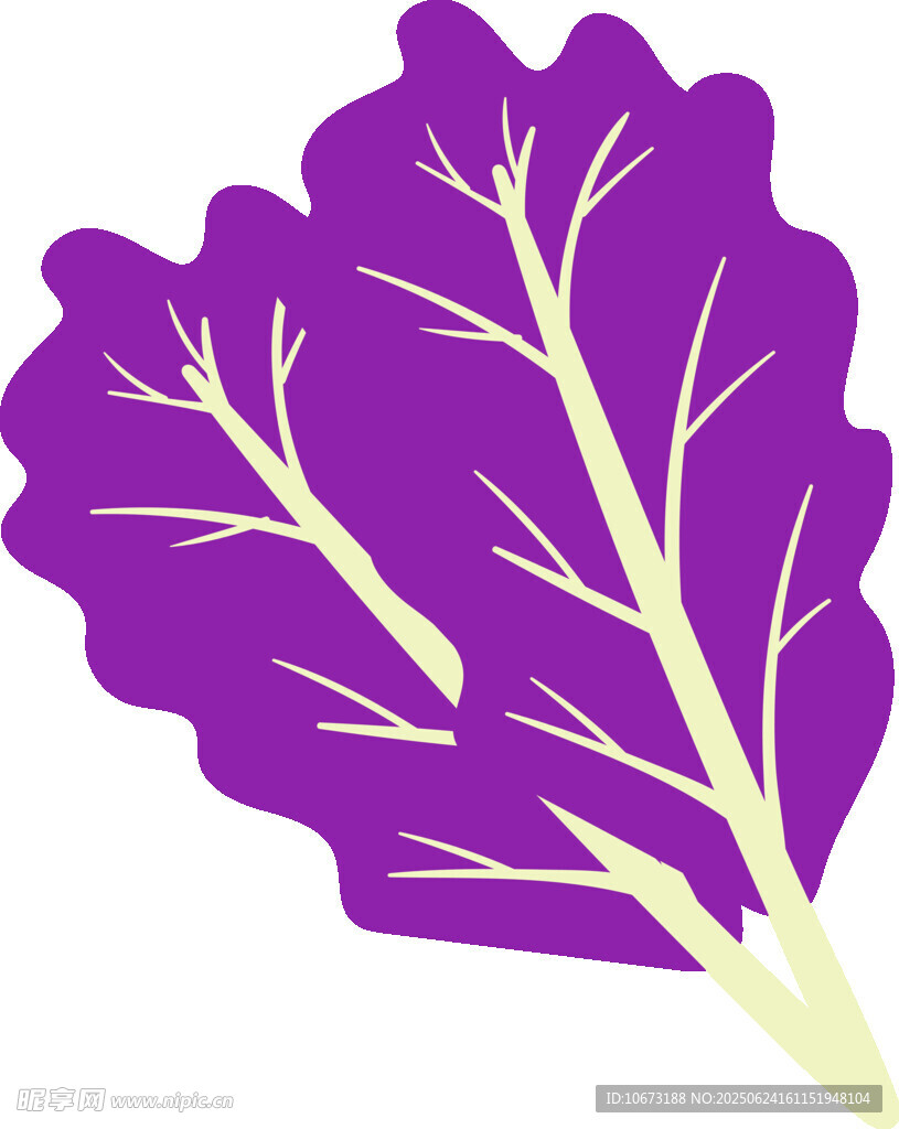 紫色葉片插畫