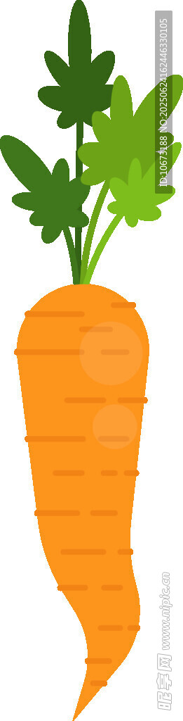 可愛胡蘿卜插畫