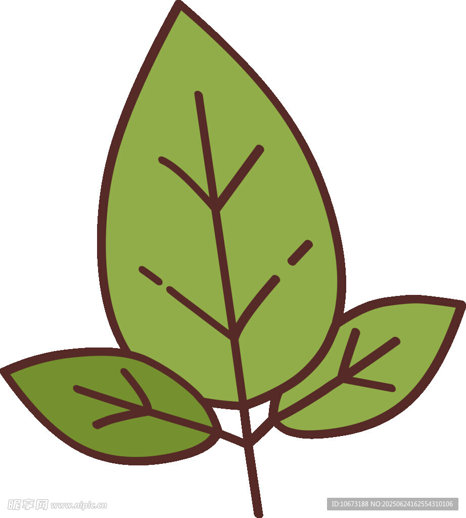 三片綠葉插畫