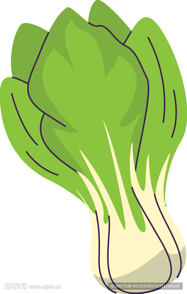 新鮮小白菜插畫(huà)