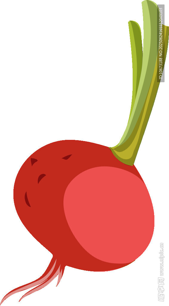 卡通紅皮蘿卜插畫