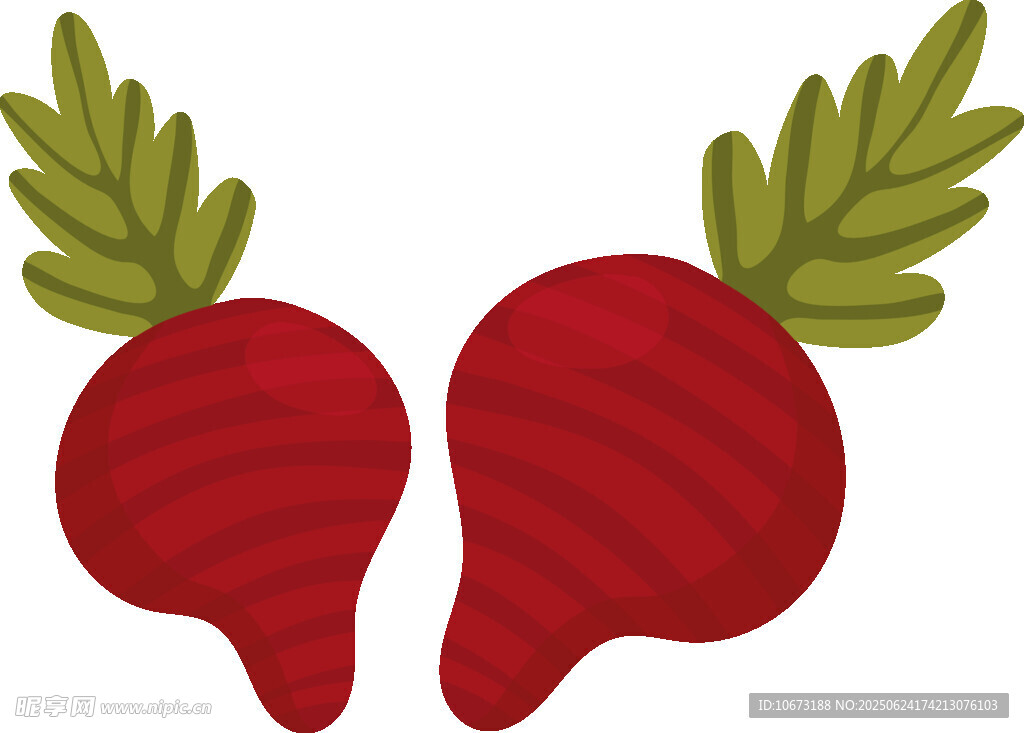 兩個(gè)紅甜菜插畫