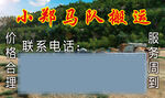 馬隊(duì)運(yùn)輸