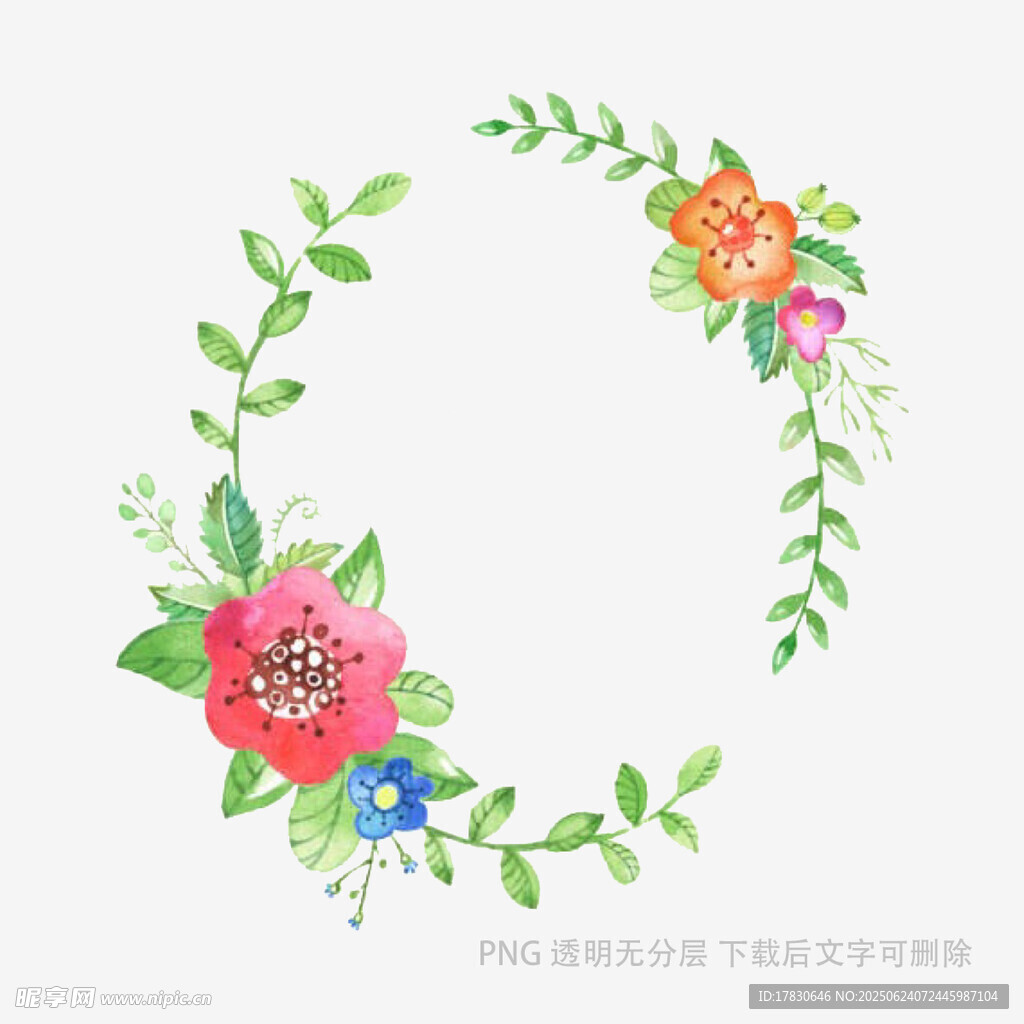 花卉綠葉環繞的水彩花環