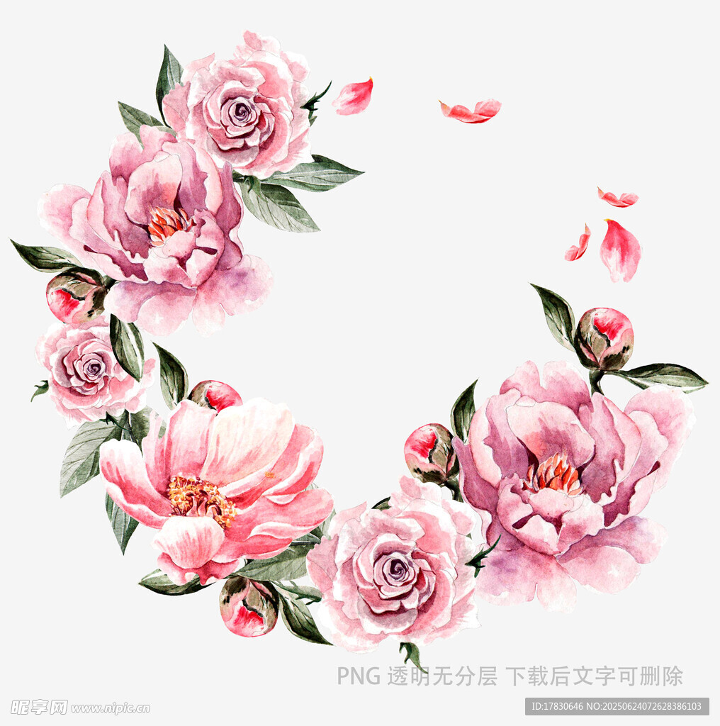 粉色花卉花環(huán)水彩插畫