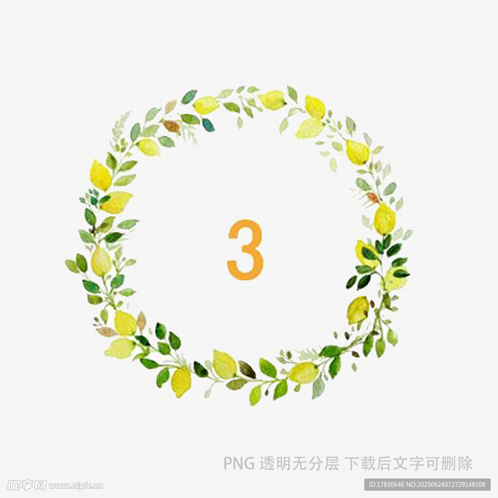 檸檬花環中的數字3