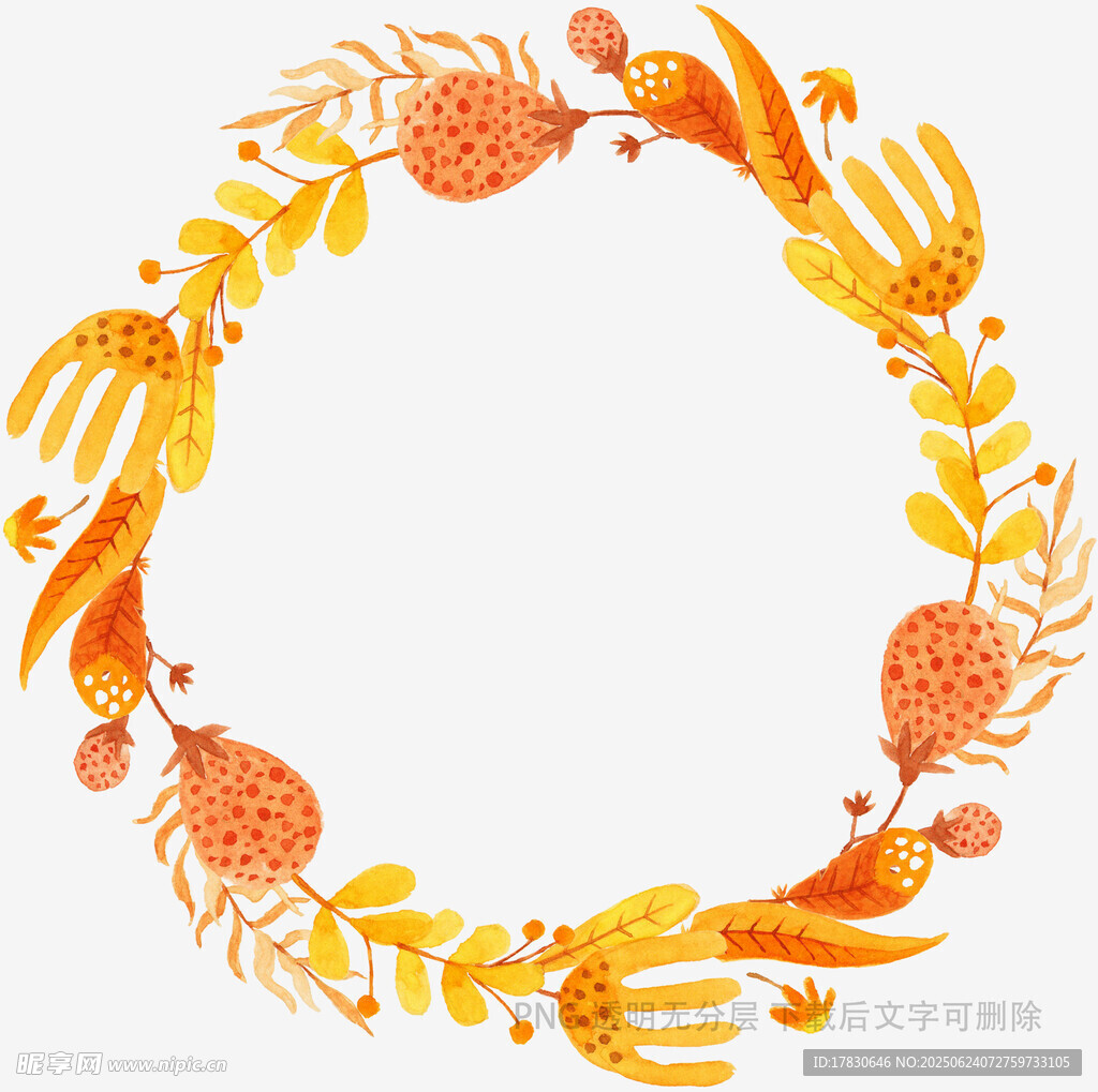 秋日花卉螃蟹環形插畫
