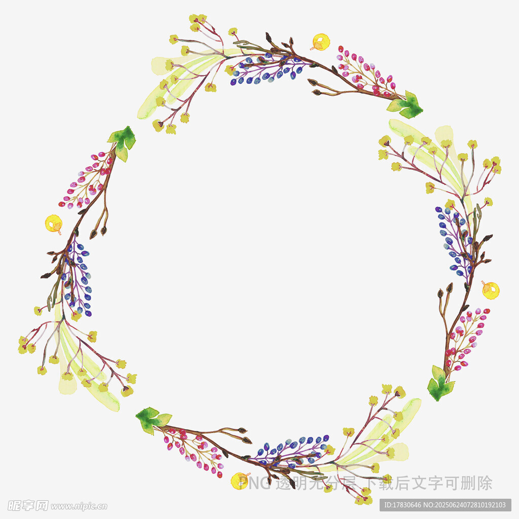 彩色花卉藤蔓圓形裝飾圖案