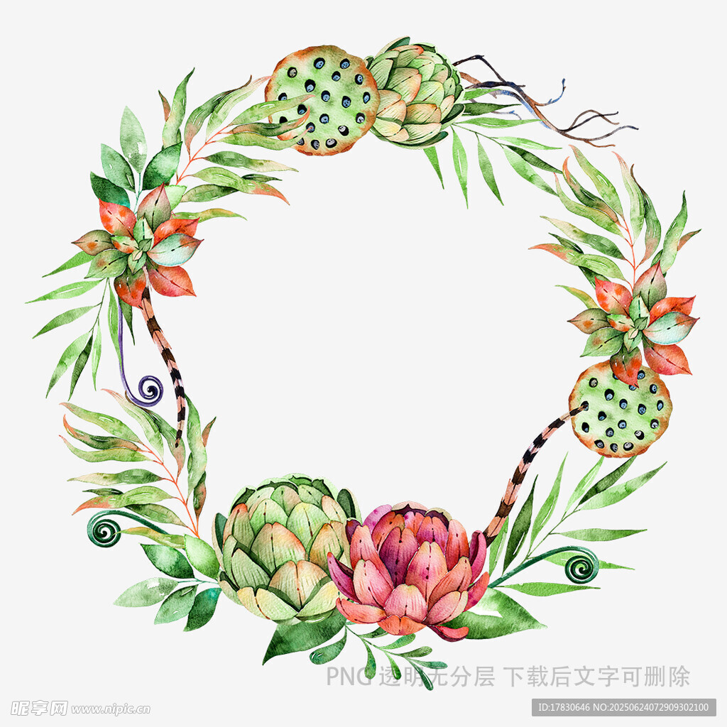 水彩多肉植物花環(huán)