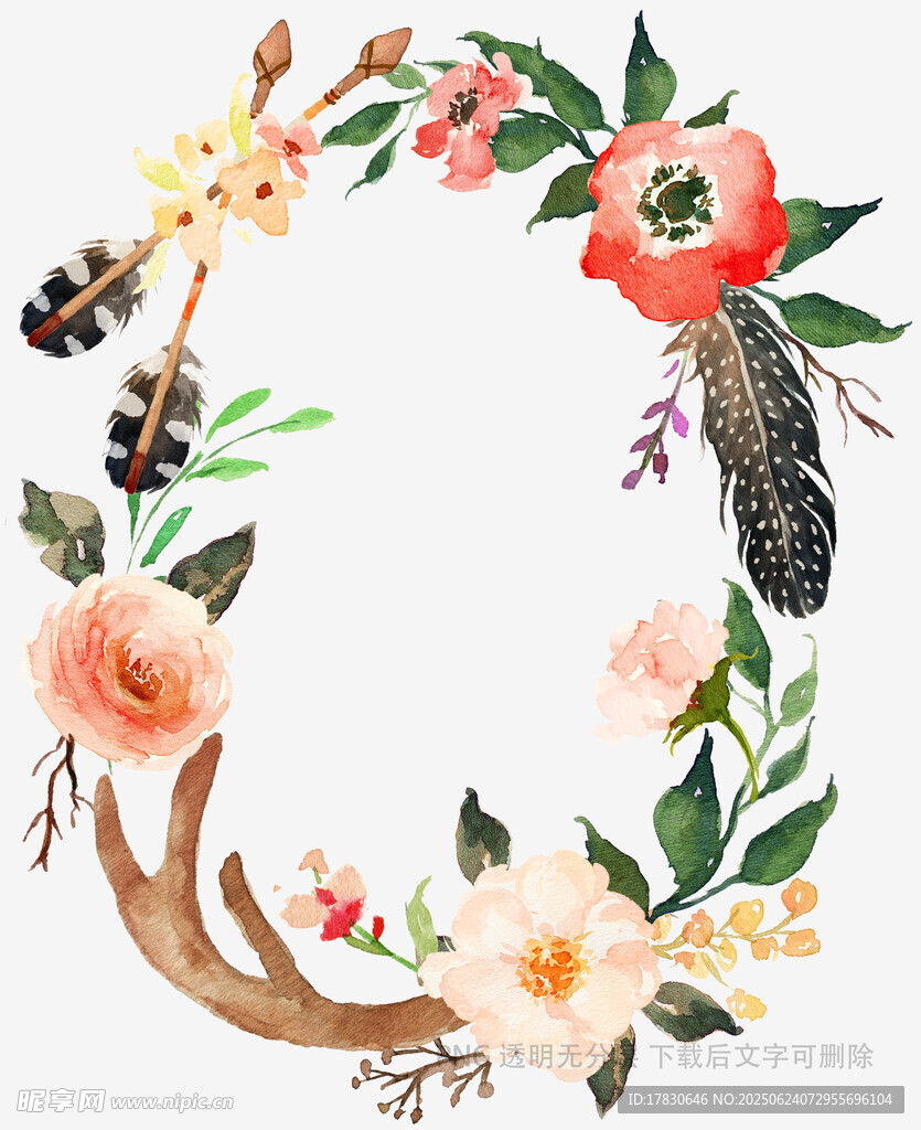 花卉羽毛裝飾環(huán)形插畫