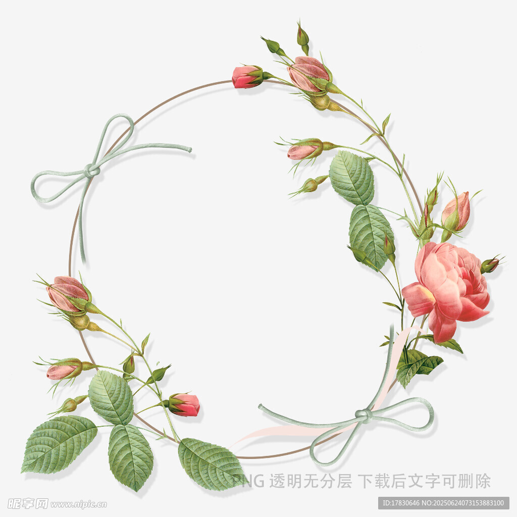 手繪玫瑰藤蔓花環圖案