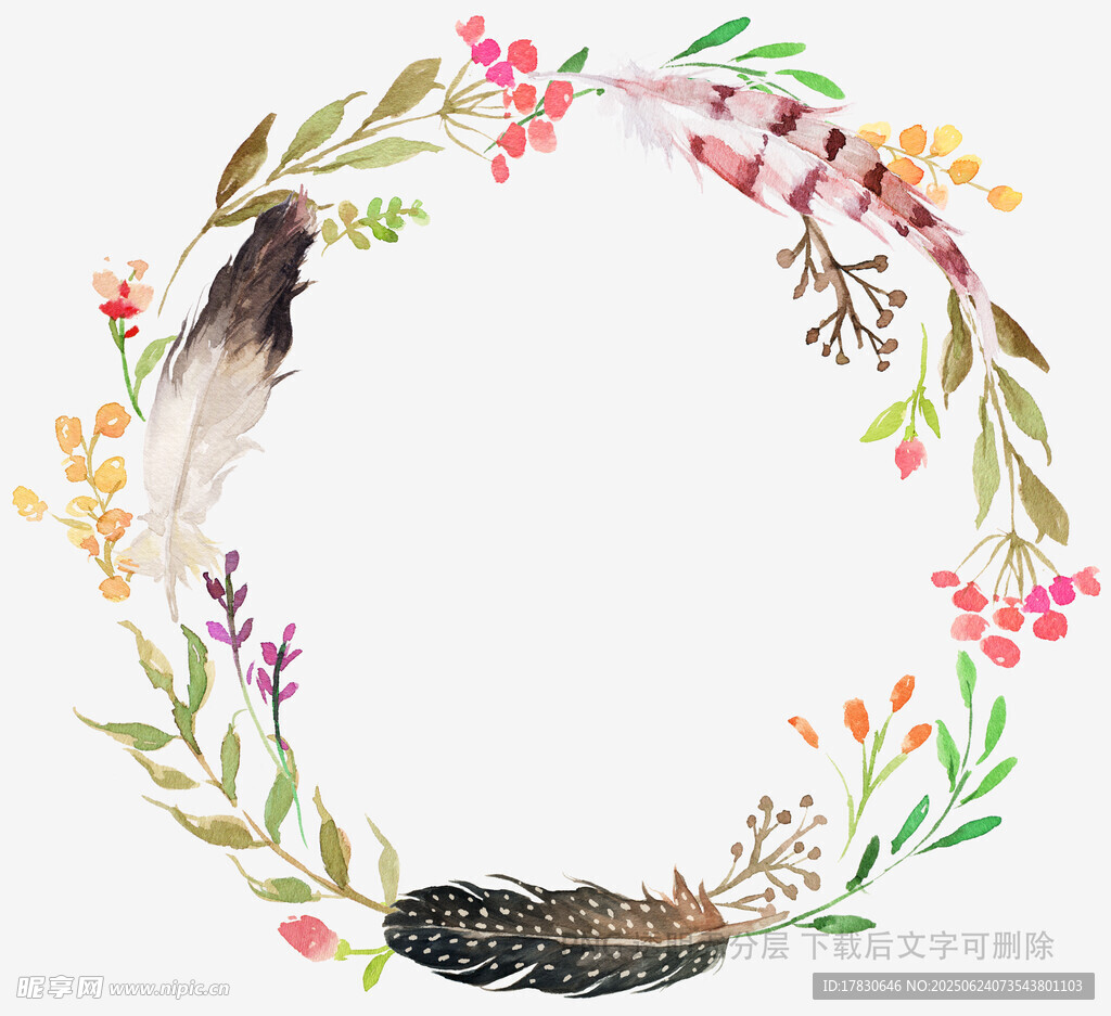 羽毛花環中的鳥巢插畫