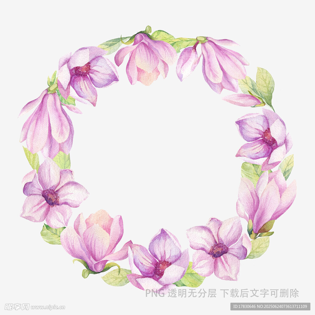 紫玉蘭花卉環形插畫