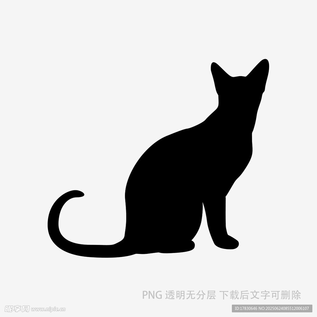 黑貓剪影