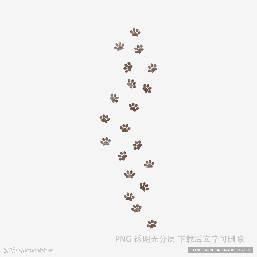 咖啡豆排列成的獨特圖案