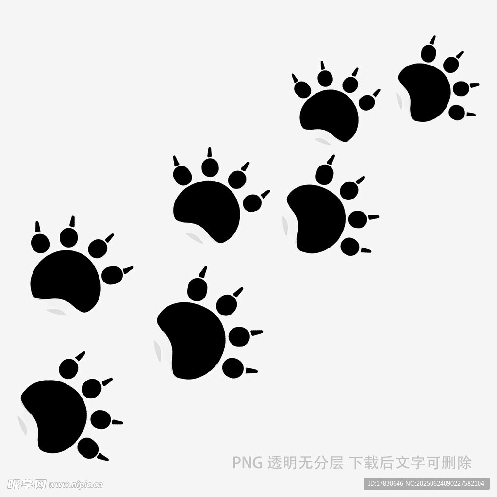動物爪印圖案