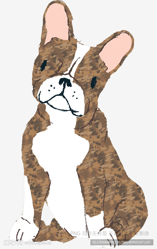 可愛斑點(diǎn)斗牛犬插畫