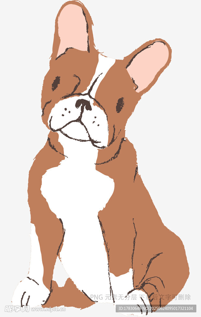 可愛坐姿法國斗牛犬插畫