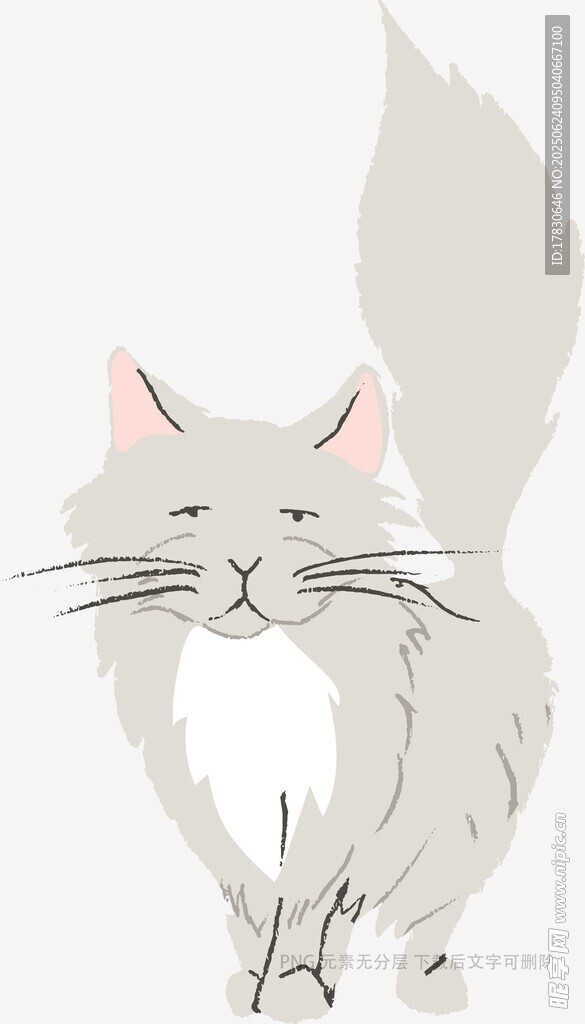 可愛長毛貓插畫