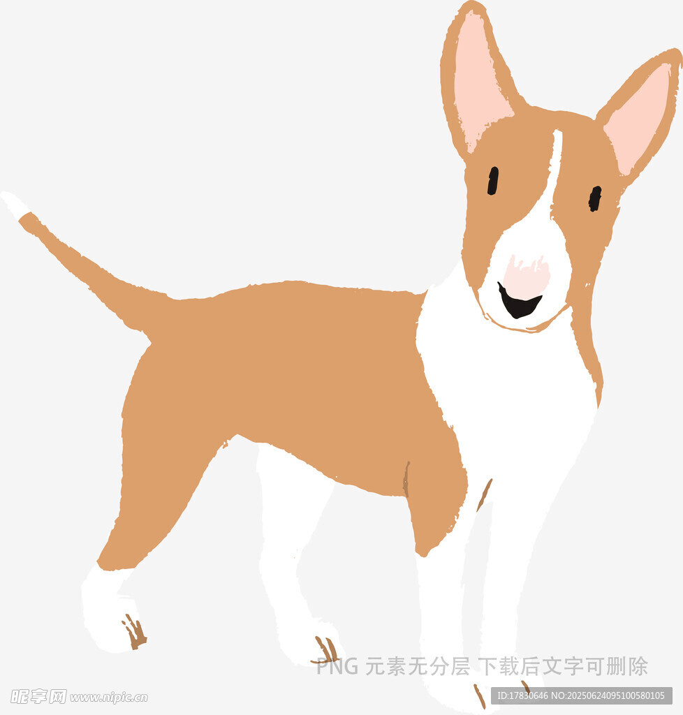 可愛棕白相間小狗插畫