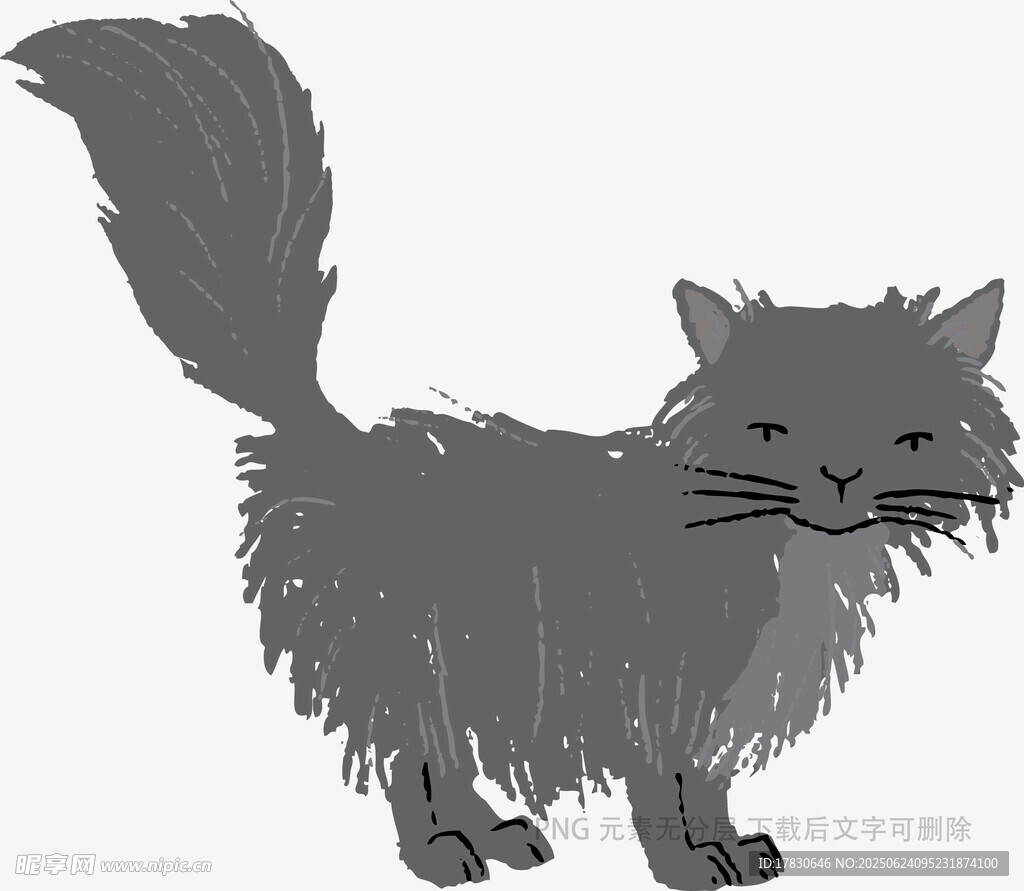 蓬松長毛貓的可愛姿態