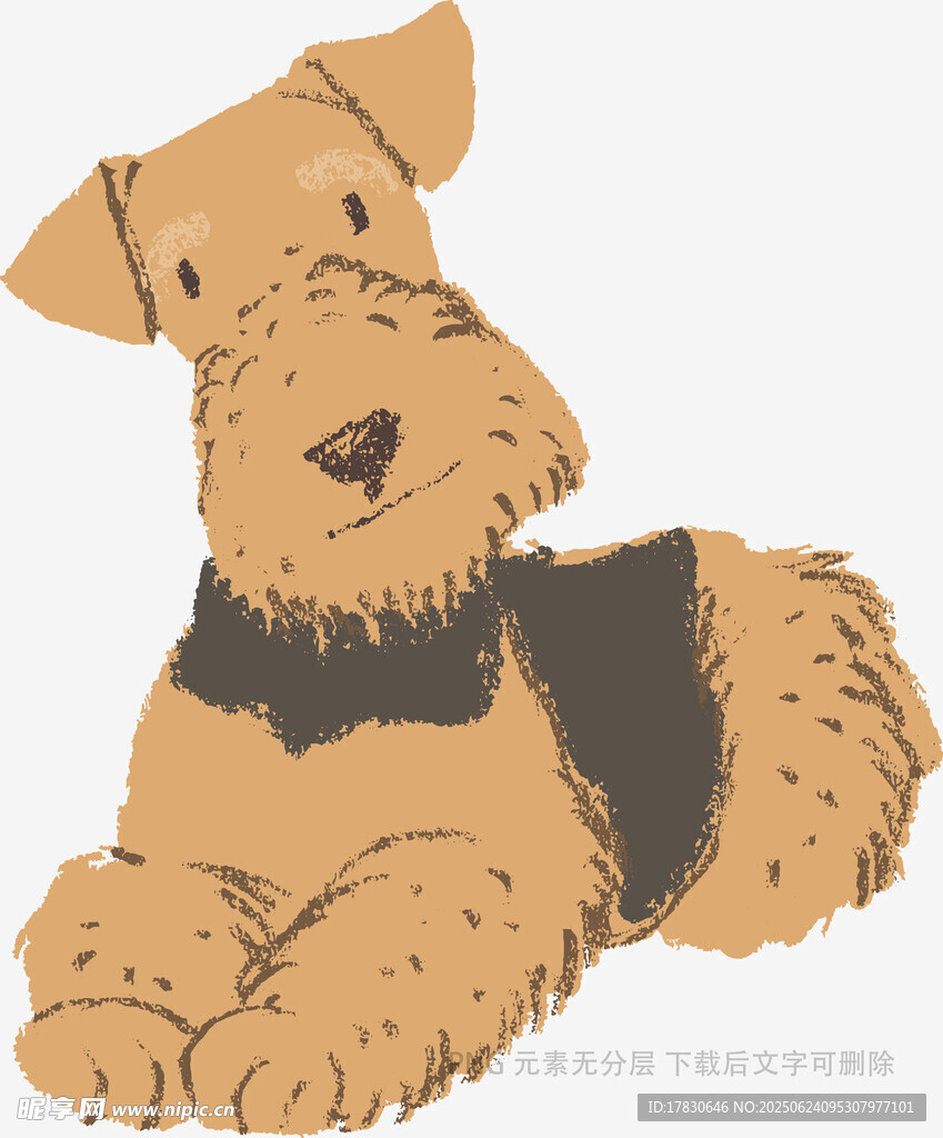 趴著的可愛梗犬