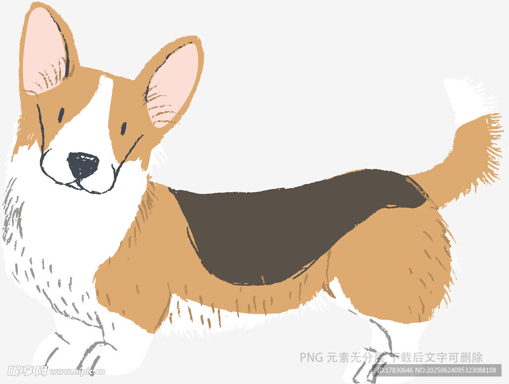 可愛柯基插畫形象