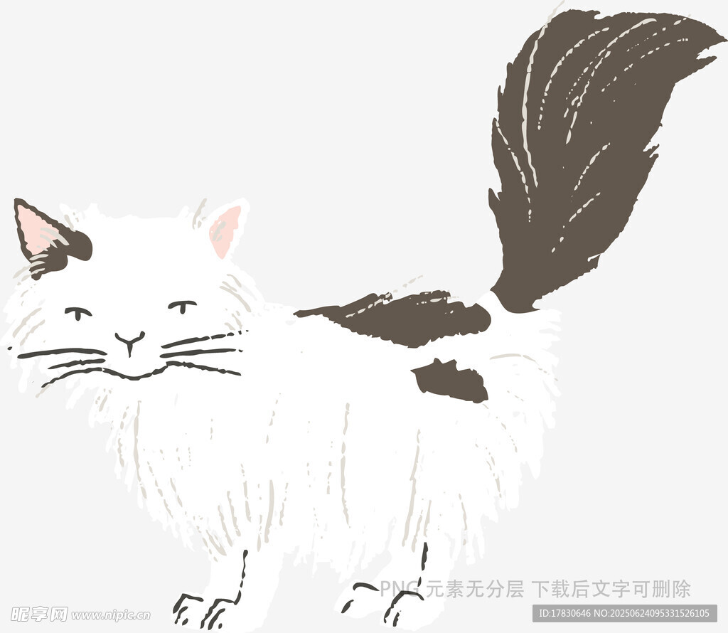 可愛黑白花紋貓咪插畫