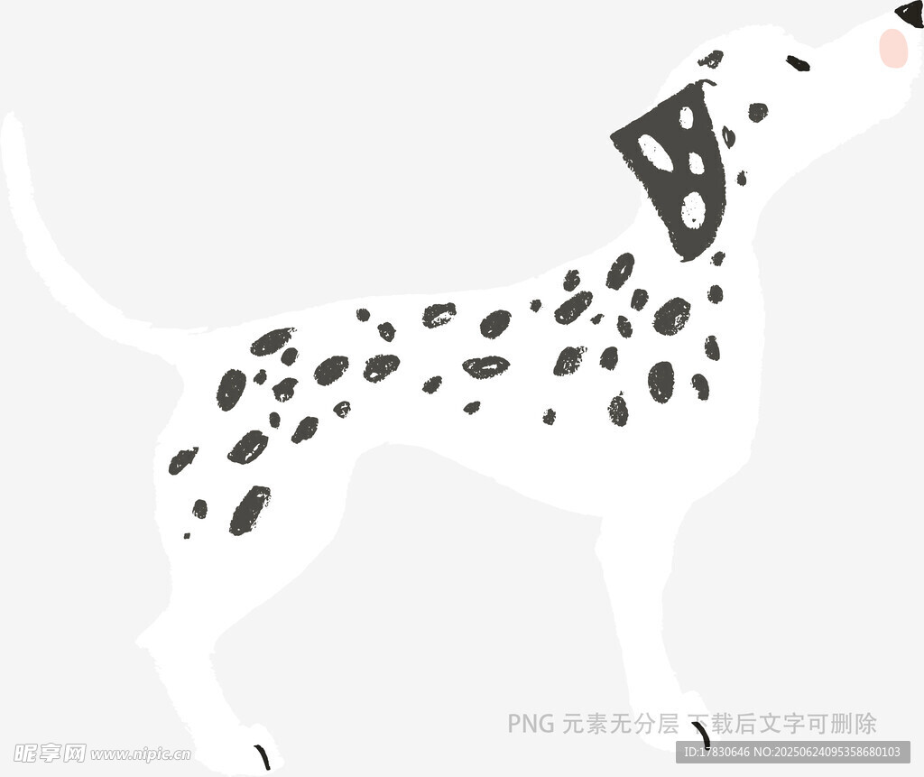 斑點(diǎn)狗插畫(huà)