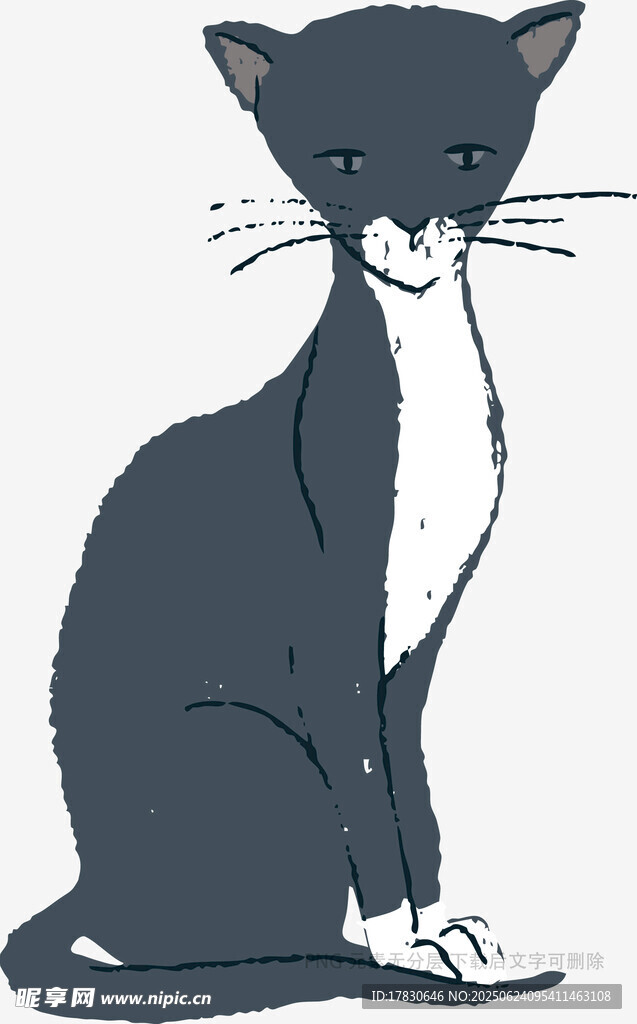坐著的黑白貓咪插畫