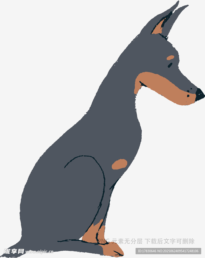 坐著的杜賓犬插畫