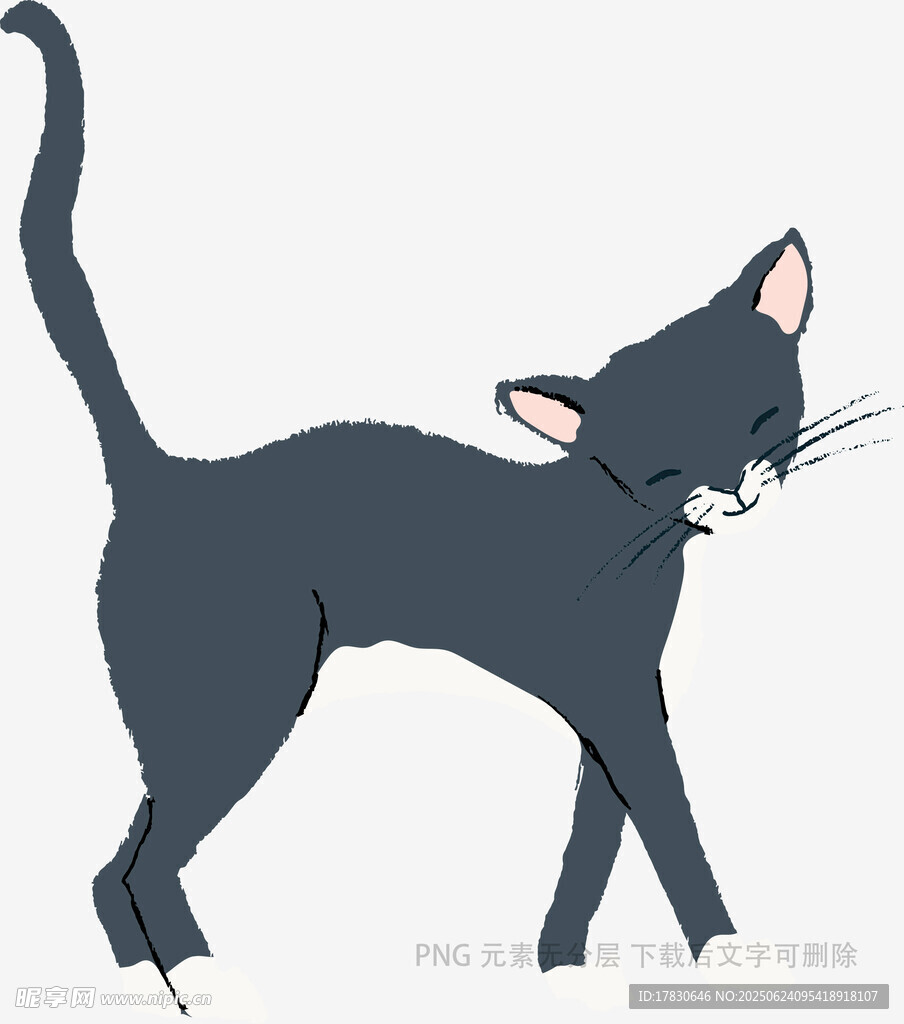 行走的黑貓