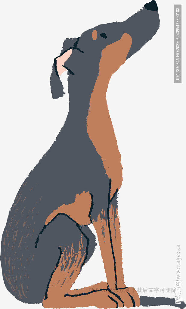 坐立的杜賓犬插畫