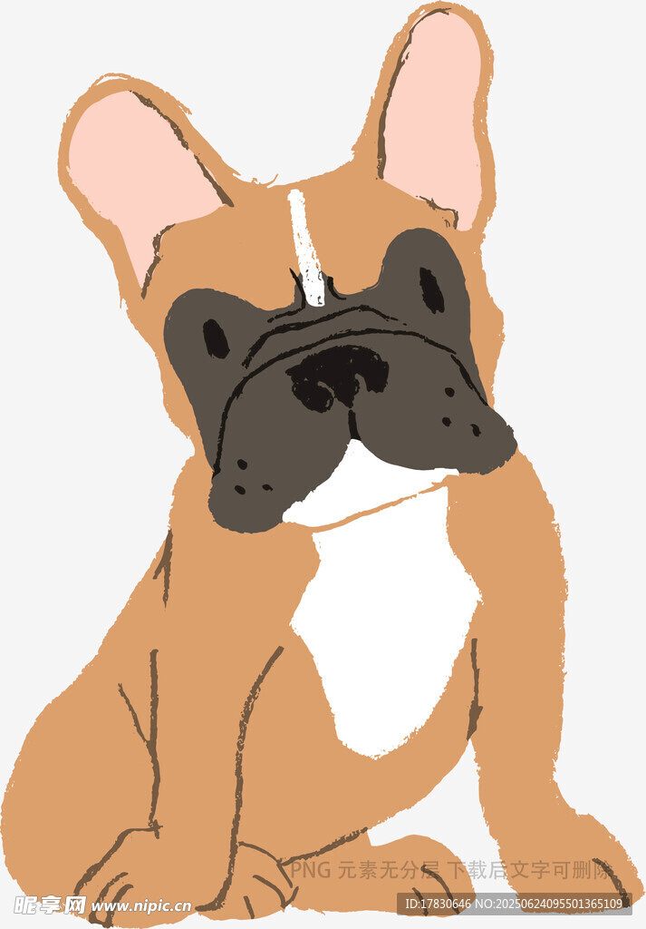 坐著的法國斗牛犬插畫
