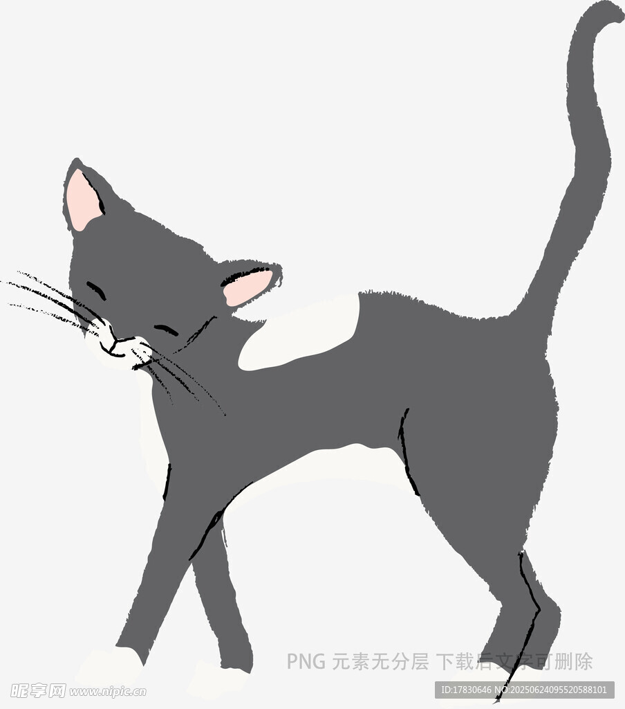 行走的黑貓