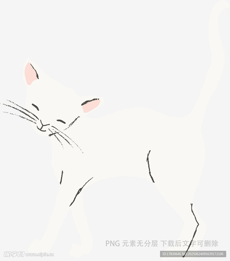 可愛白貓簡筆畫