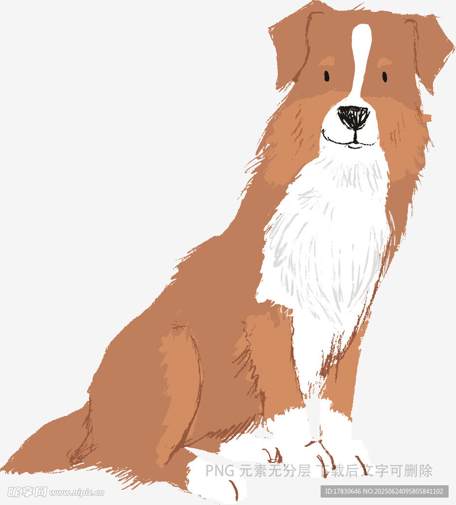 坐著的棕白相間可愛狗狗