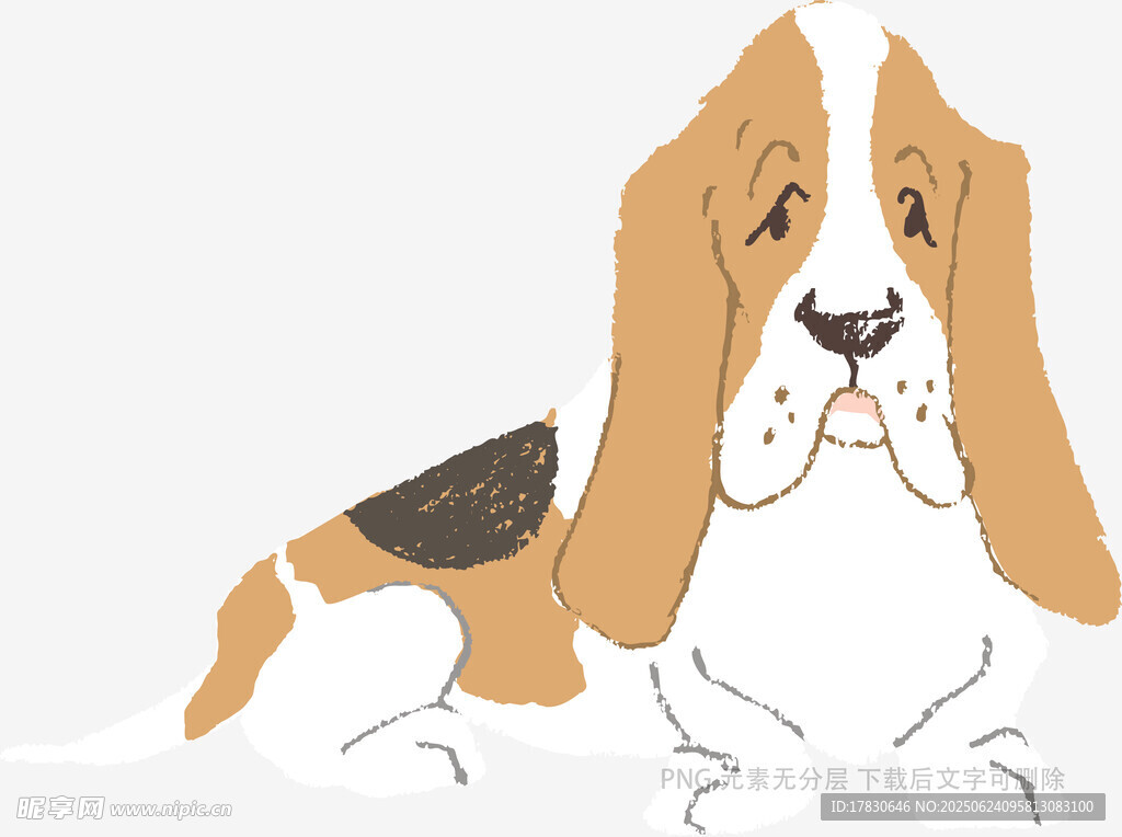 趴著的可愛巴吉度犬