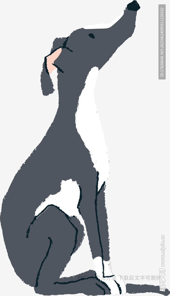 坐著仰頭的灰黑色獵犬