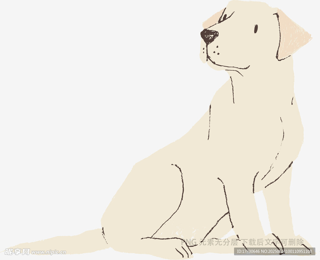 坐著的米色拉布拉多犬