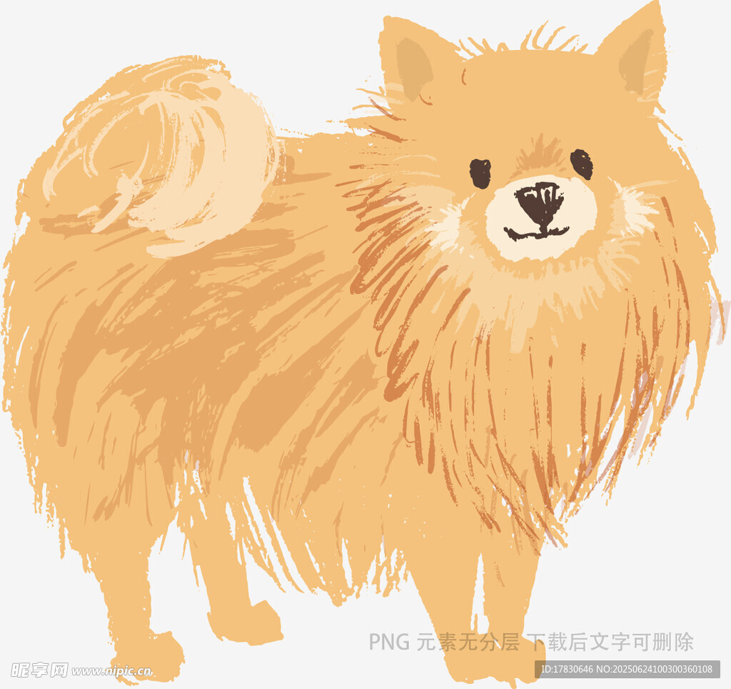 可愛蓬松的博美犬插畫