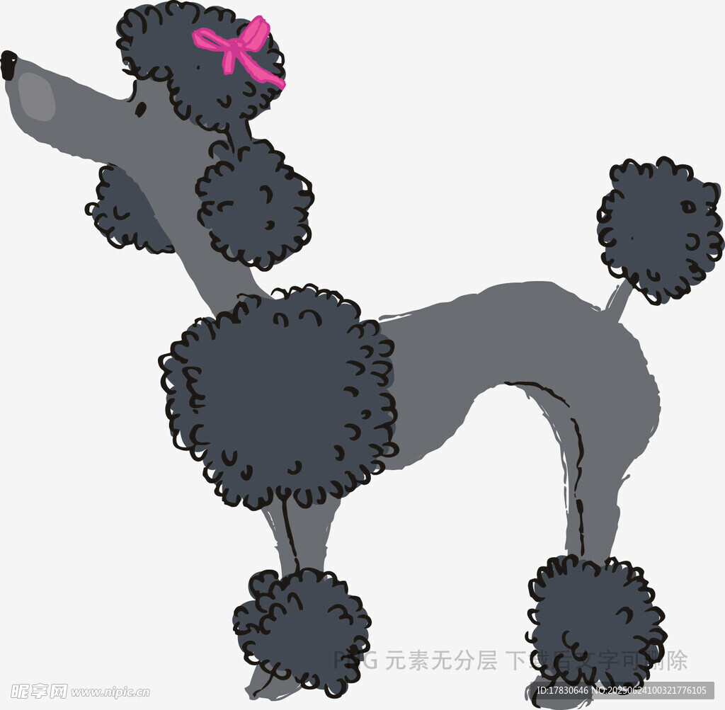 優(yōu)雅貴婦犬插畫(huà)