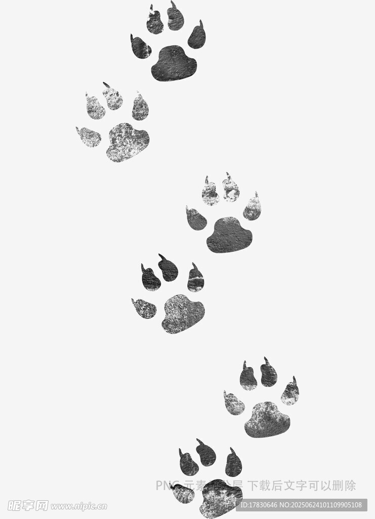 動物爪印圖案