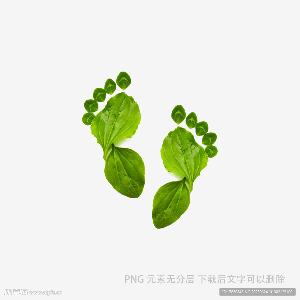 綠葉腳印圖案設(shè)計(jì)